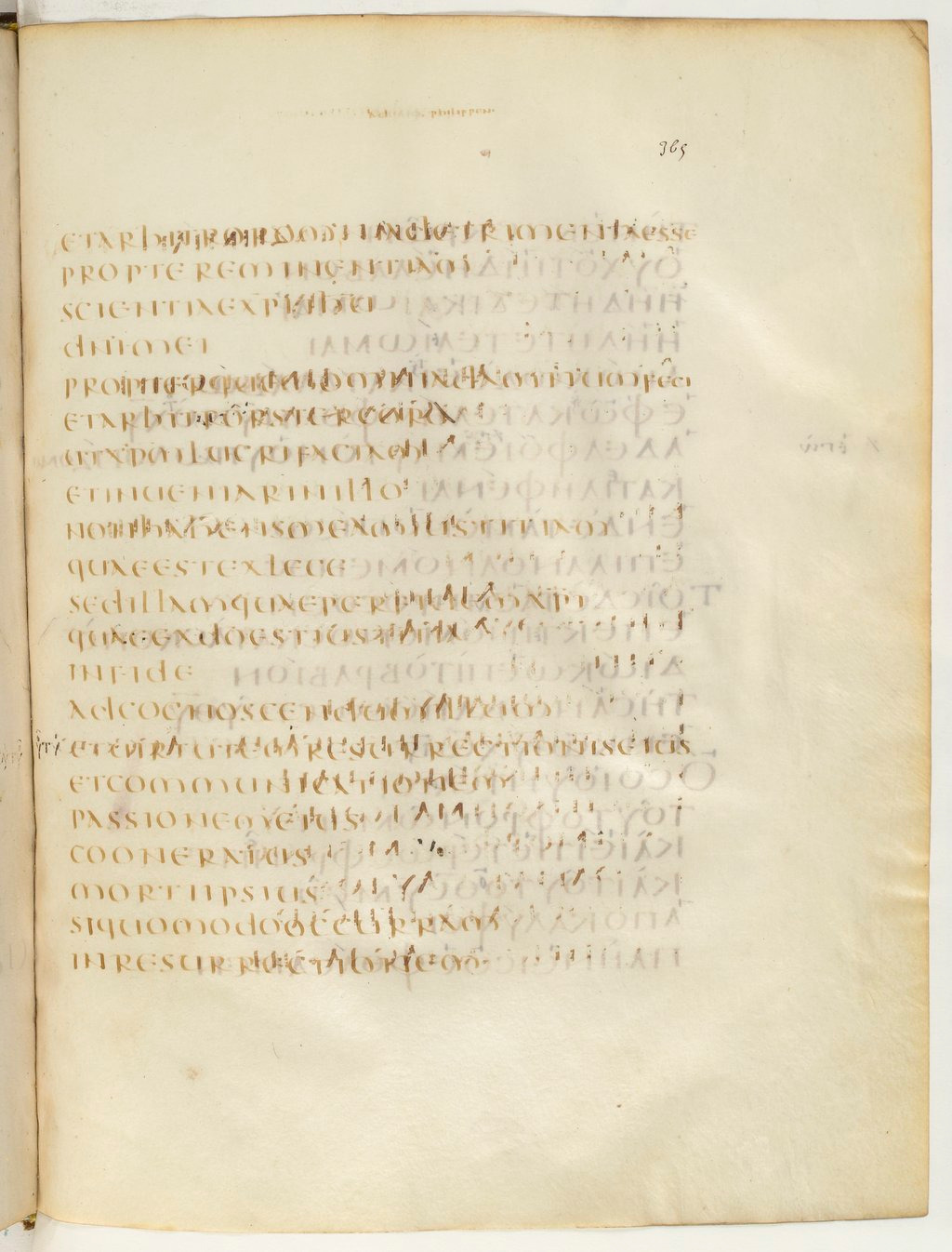 Codex Claromontanus (Scan 4) showing Philippians 3:8 from 5th / 6th Century found in Clermont-Ferrand, France, currently housed at Bibliothèque nationale de France, Paris