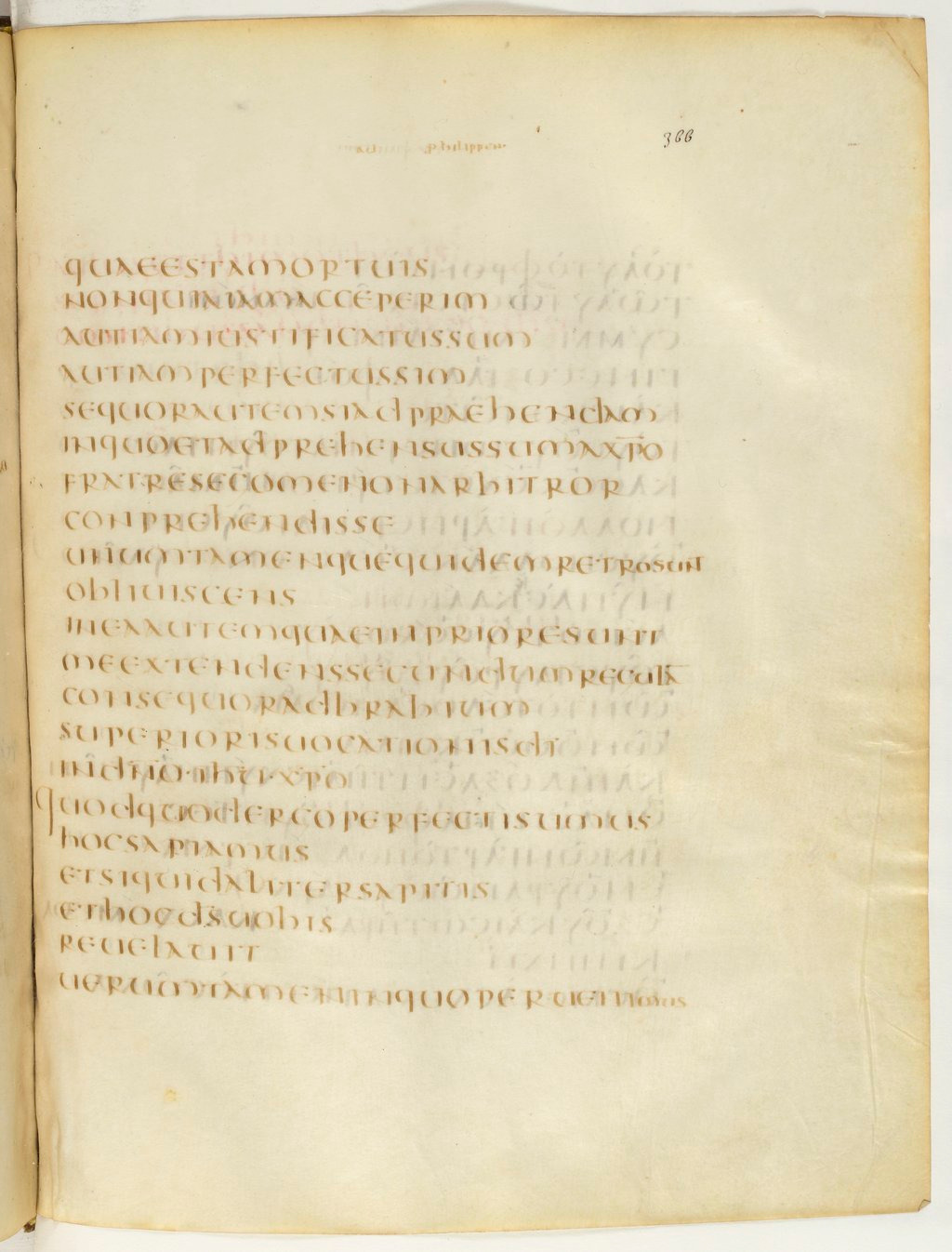 Codex Claromontanus (Scan 2) showing Philippians 3:13 from 5th / 6th Century found in Clermont-Ferrand, France, currently housed at Bibliothèque nationale de France, Paris