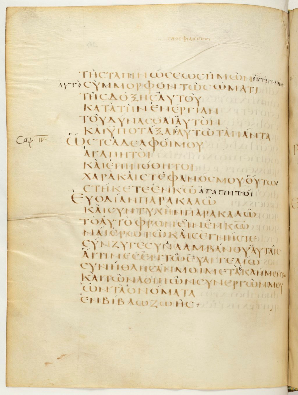 Codex Claromontanus (Scan 3) showing Philippians 3:21 from 5th / 6th Century found in Clermont-Ferrand, France, currently housed at Bibliothèque nationale de France, Paris