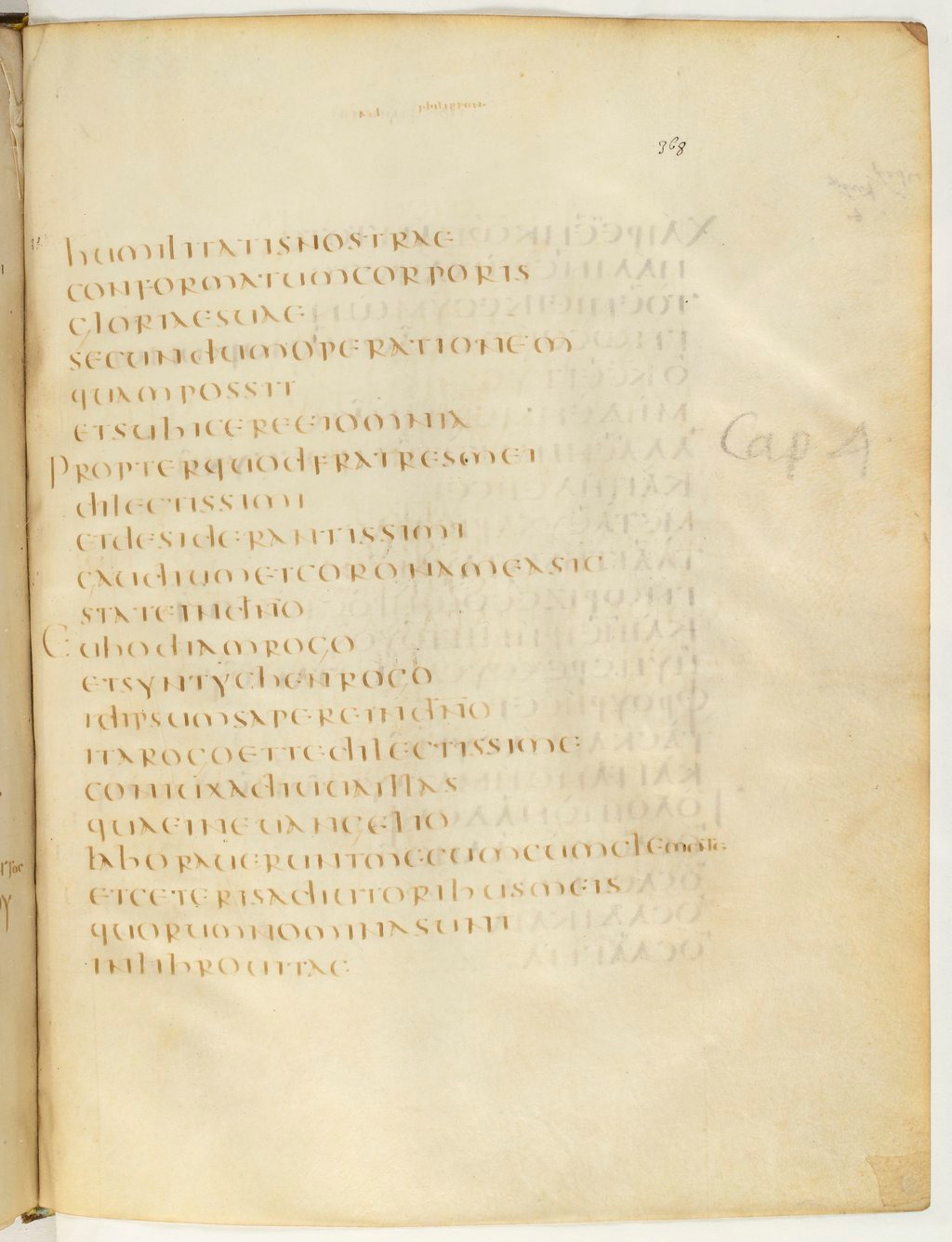 Codex Claromontanus (Scan 4) showing Philippians 3:21 from 5th / 6th Century found in Clermont-Ferrand, France, currently housed at Bibliothèque nationale de France, Paris