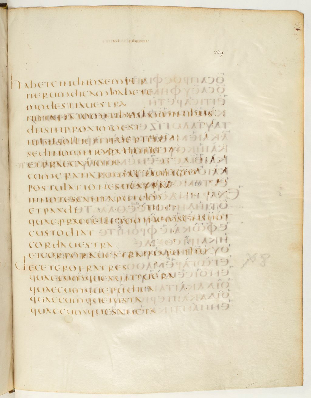 Codex Claromontanus (Scan 2) showing Philippians 4:7 from 5th / 6th Century found in Clermont-Ferrand, France, currently housed at Bibliothèque nationale de France, Paris