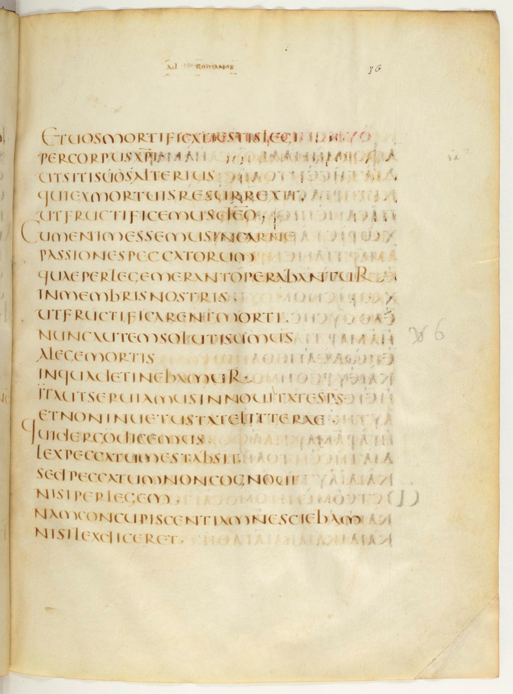 Codex Claromontanus (Scan 4) showing Romans 7:4 from 5th / 6th Century found in Clermont-Ferrand, France, currently housed at Bibliothèque nationale de France, Paris