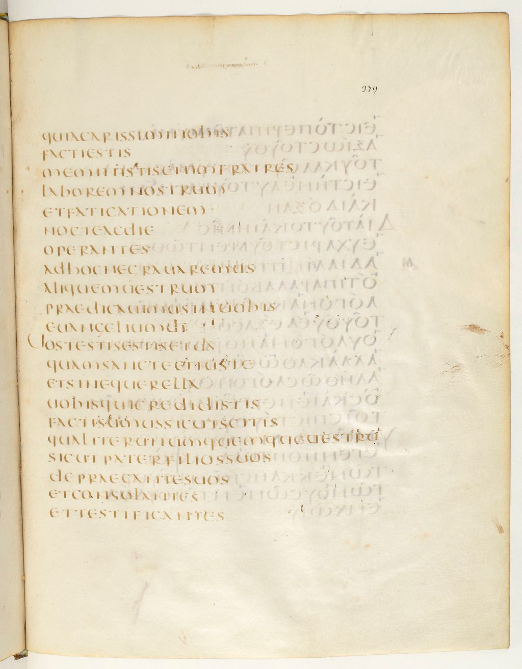 Codex Claromontanus (Scan 4) showing 1 Thessalonians 2:8 from 5th / 6th Century found in Clermont-Ferrand, France, currently housed at Bibliothèque nationale de France, Paris