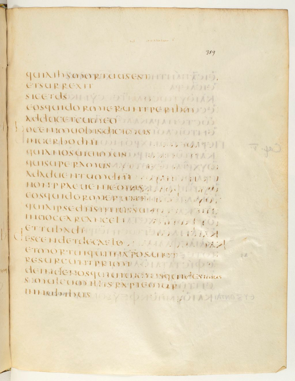Codex Claromontanus (Scan 2) showing 1 Thessalonians 4:17 from 5th / 6th Century found in Clermont-Ferrand, France, currently housed at Bibliothèque nationale de France, Paris