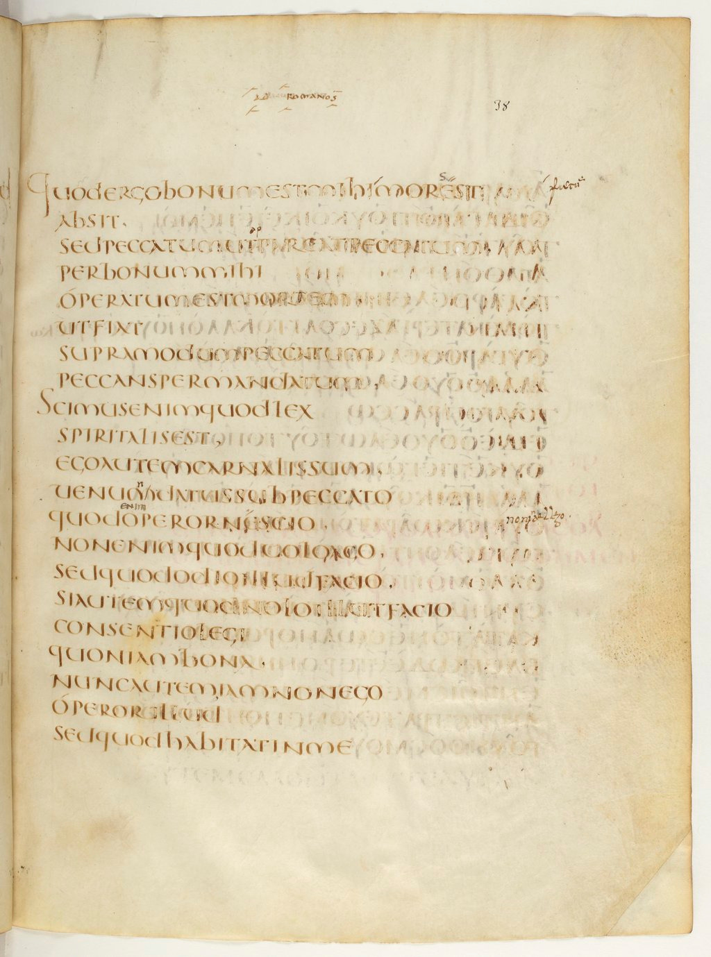 Codex Claromontanus (Scan 2) showing Romans 7:13 from 5th / 6th Century found in Clermont-Ferrand, France, currently housed at Bibliothèque nationale de France, Paris