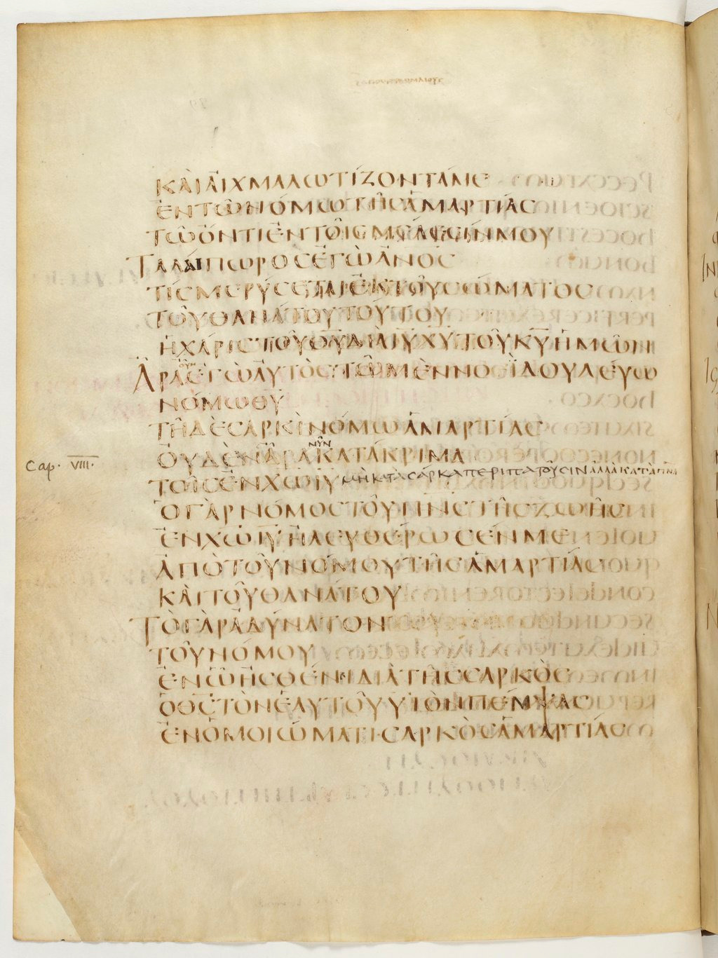 Codex Claromontanus (Scan 1) showing Romans 8:2 from 5th / 6th Century found in Clermont-Ferrand, France, currently housed at Bibliothèque nationale de France, Paris