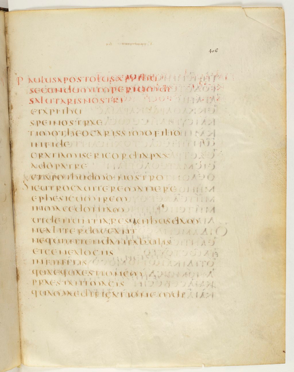 Codex Claromontanus (Scan 2) showing 1 Timothy 1:2 from 5th / 6th Century found in Clermont-Ferrand, France, currently housed at Bibliothèque nationale de France, Paris