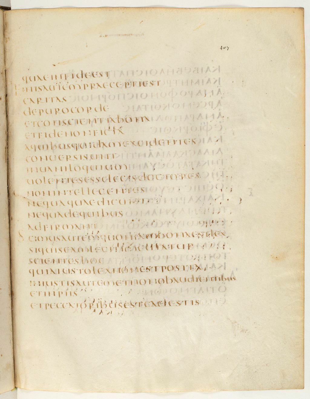 Codex Claromontanus (Scan 4) showing 1 Timothy 1:4 from 5th / 6th Century found in Clermont-Ferrand, France, currently housed at Bibliothèque nationale de France, Paris