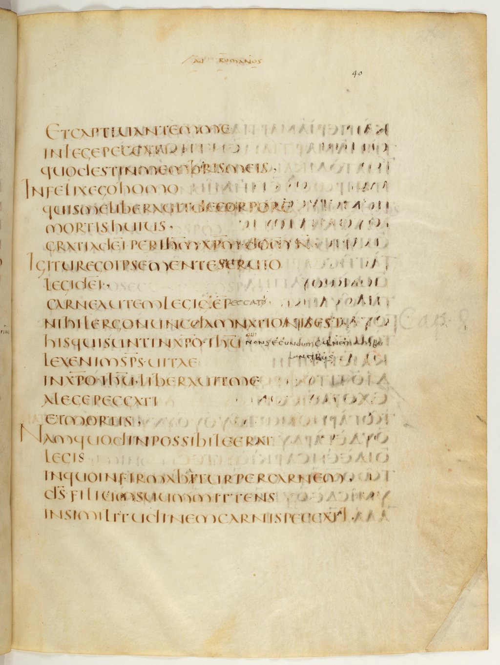 Codex Claromontanus (Scan 2) showing Romans 8:2 from 5th / 6th Century found in Clermont-Ferrand, France, currently housed at Bibliothèque nationale de France, Paris