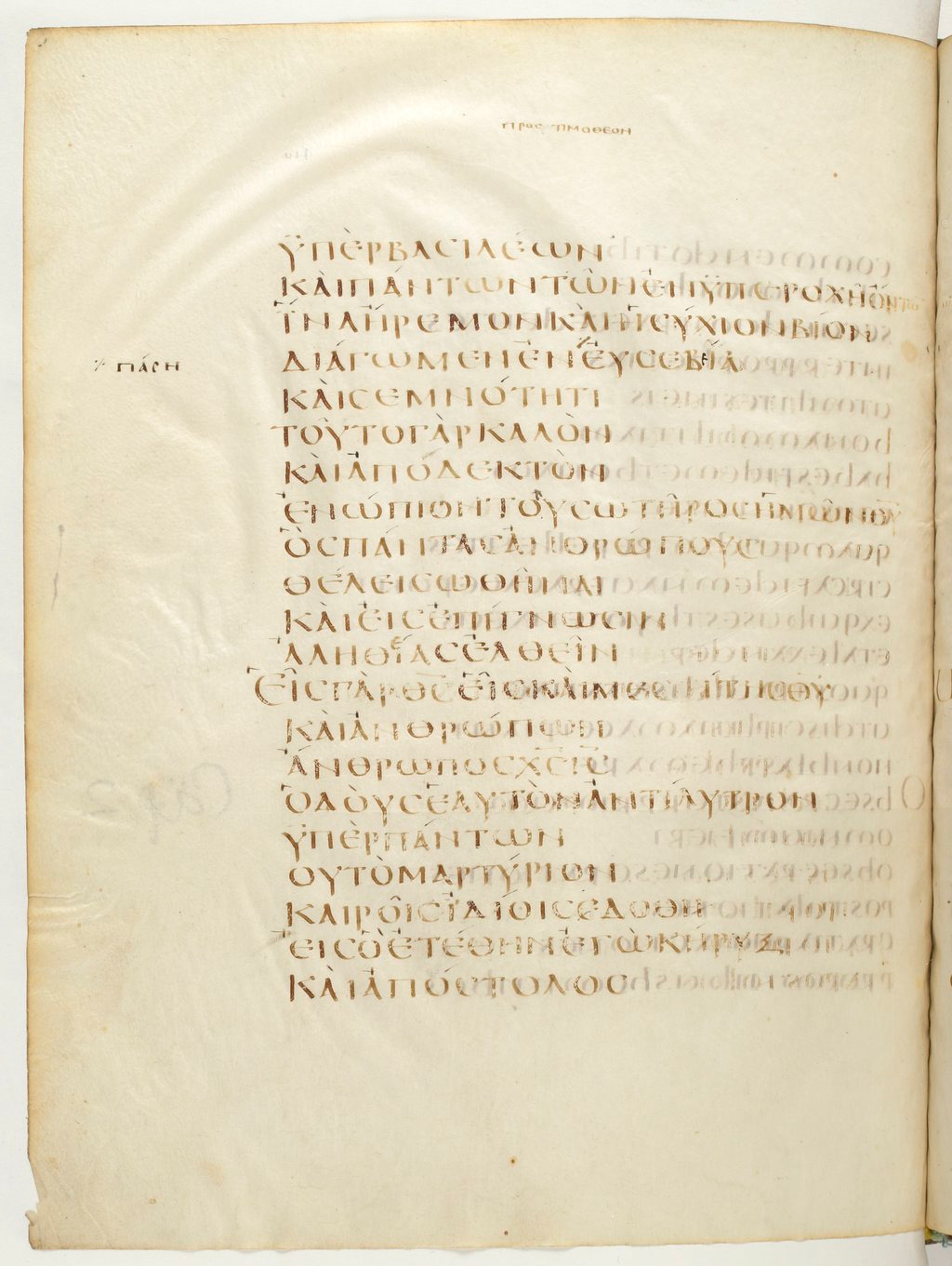 Codex Claromontanus (Scan 1) showing 1 Timothy 2:3 from 5th / 6th Century found in Clermont-Ferrand, France, currently housed at Bibliothèque nationale de France, Paris