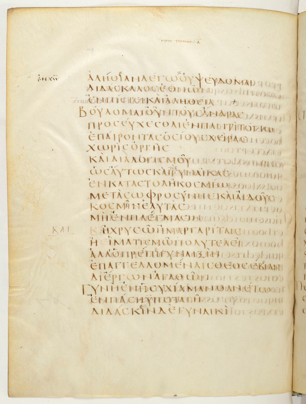 Codex Claromontanus (Scan 3) showing 1 Timothy 2:7 from 5th / 6th Century found in Clermont-Ferrand, France, currently housed at Bibliothèque nationale de France, Paris