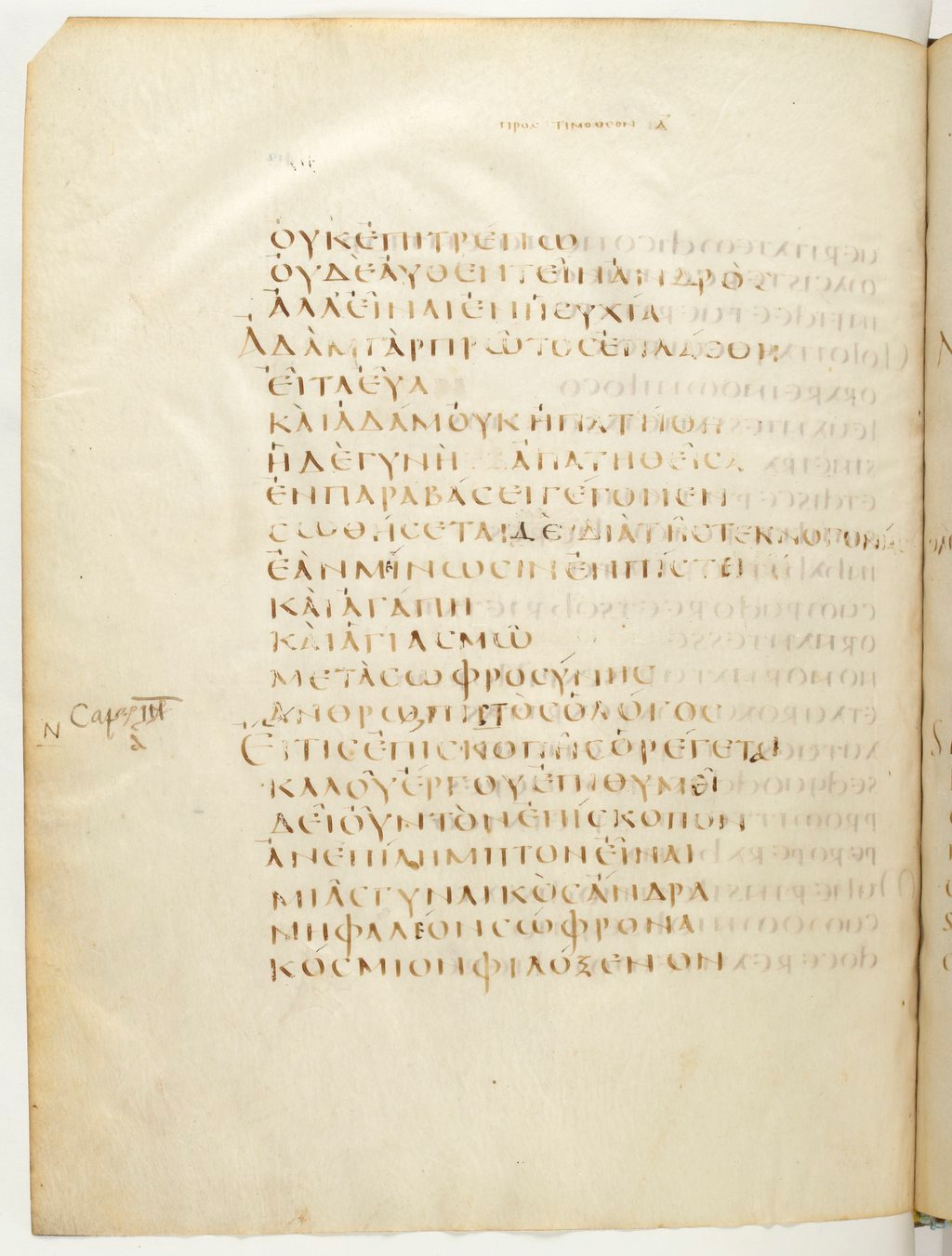 Codex Claromontanus (Scan 1) showing 1 Timothy 2:13 from 5th / 6th Century found in Clermont-Ferrand, France, currently housed at Bibliothèque nationale de France, Paris