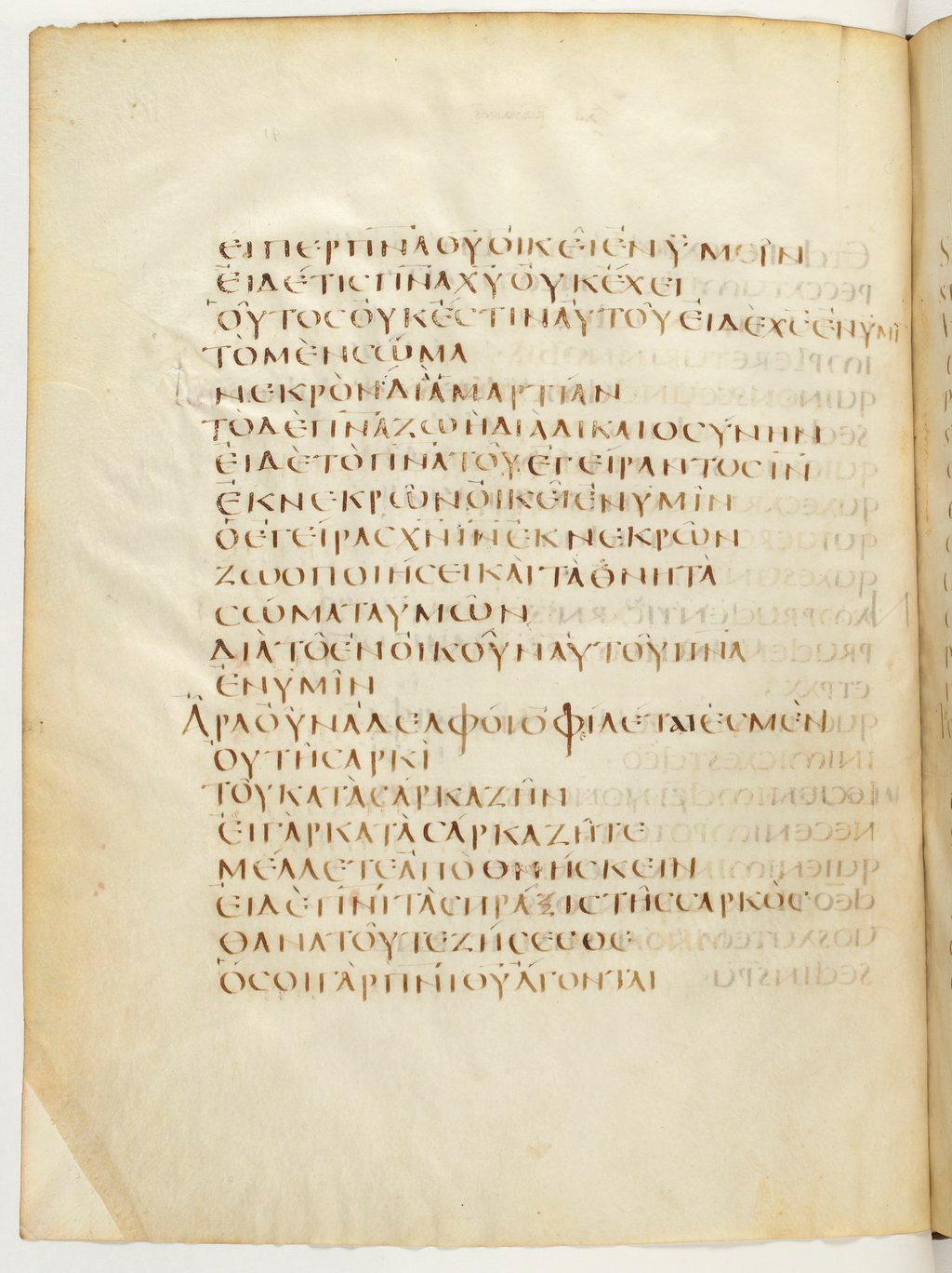 Codex Claromontanus (Scan 1) showing Romans 8:13 from 5th / 6th Century found in Clermont-Ferrand, France, currently housed at Bibliothèque nationale de France, Paris