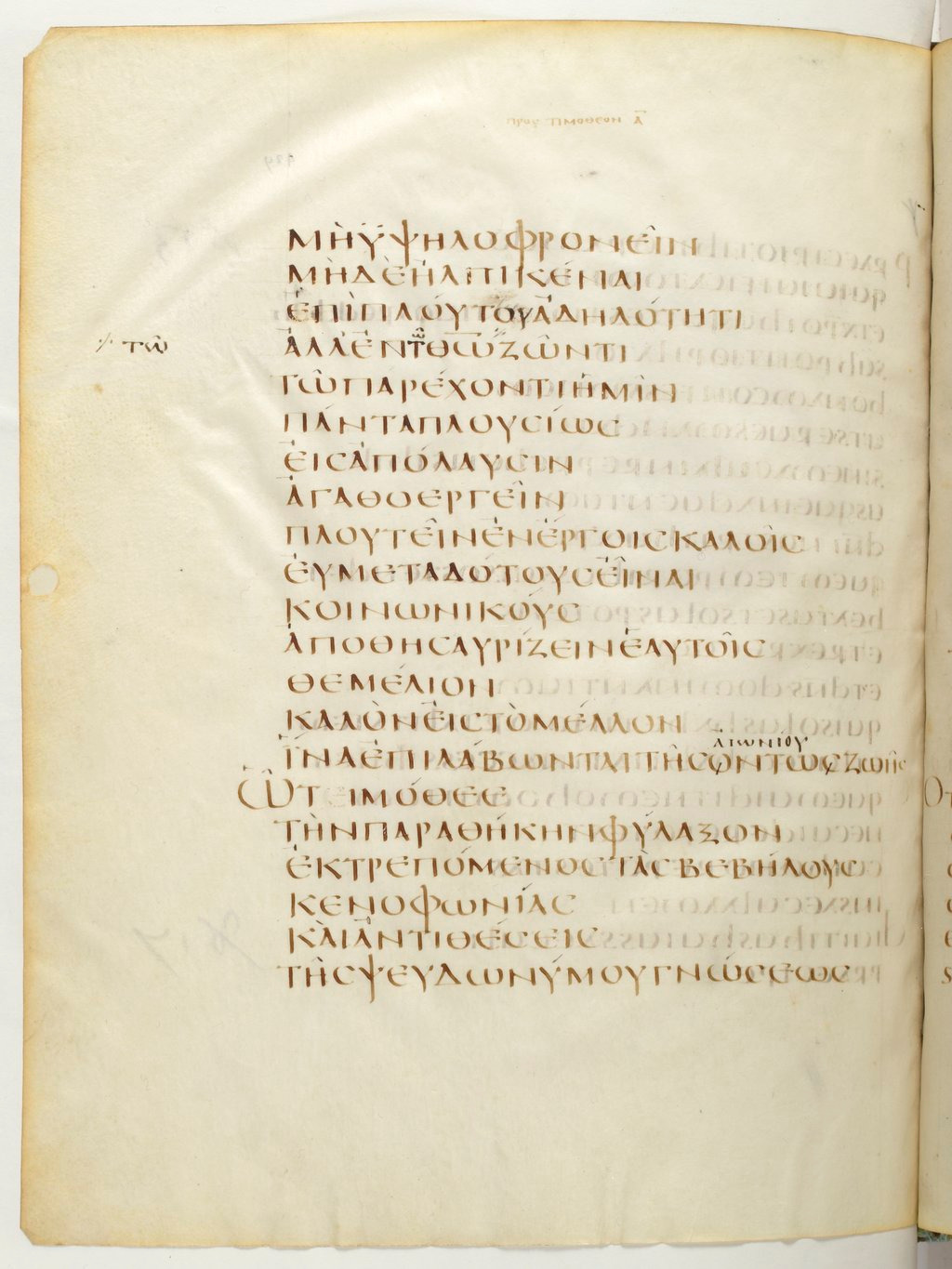 Codex Claromontanus (Scan 1) showing 1 Timothy 6:19 from 5th / 6th Century found in Clermont-Ferrand, France, currently housed at Bibliothèque nationale de France, Paris