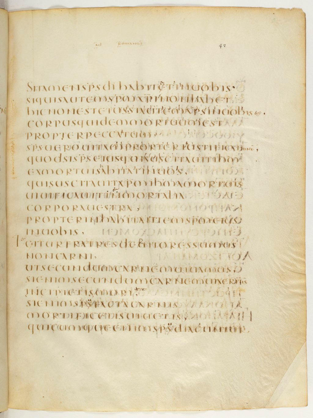 Codex Claromontanus (Scan 2) showing Romans 8:13 from 5th / 6th Century found in Clermont-Ferrand, France, currently housed at Bibliothèque nationale de France, Paris