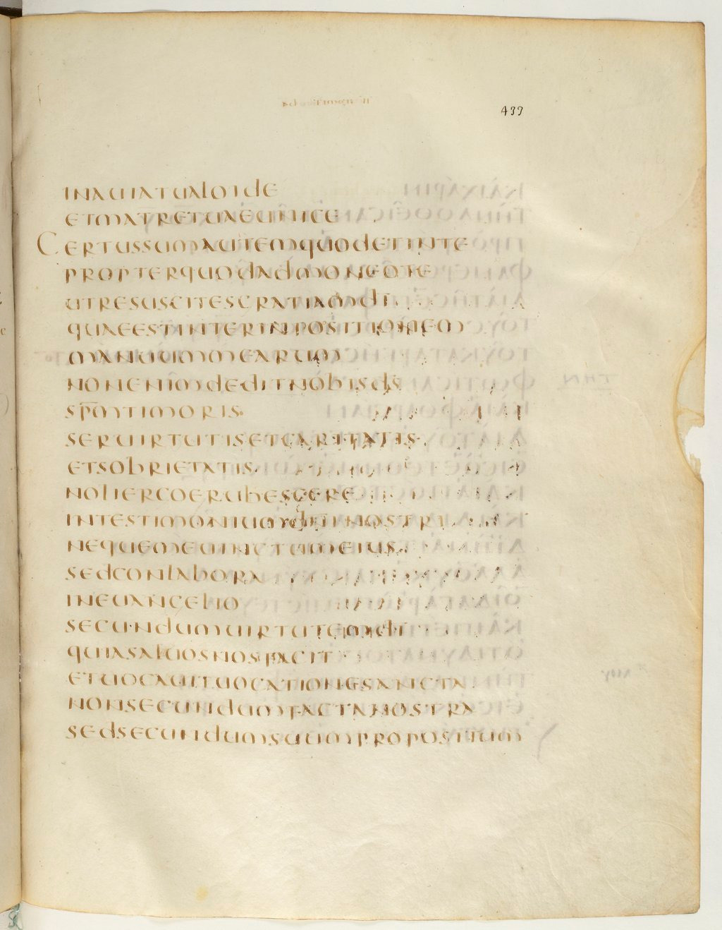 Codex Claromontanus (Scan 2) showing 2 Timothy 1:7 from 5th / 6th Century found in Clermont-Ferrand, France, currently housed at Bibliothèque nationale de France, Paris