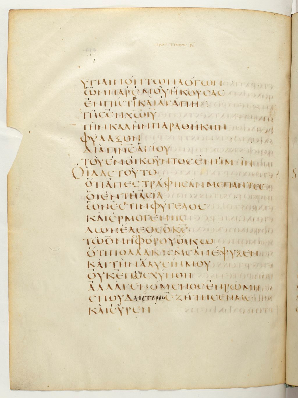 Codex Claromontanus (Scan 3) showing 2 Timothy 1:13 from 5th / 6th Century found in Clermont-Ferrand, France, currently housed at Bibliothèque nationale de France, Paris
