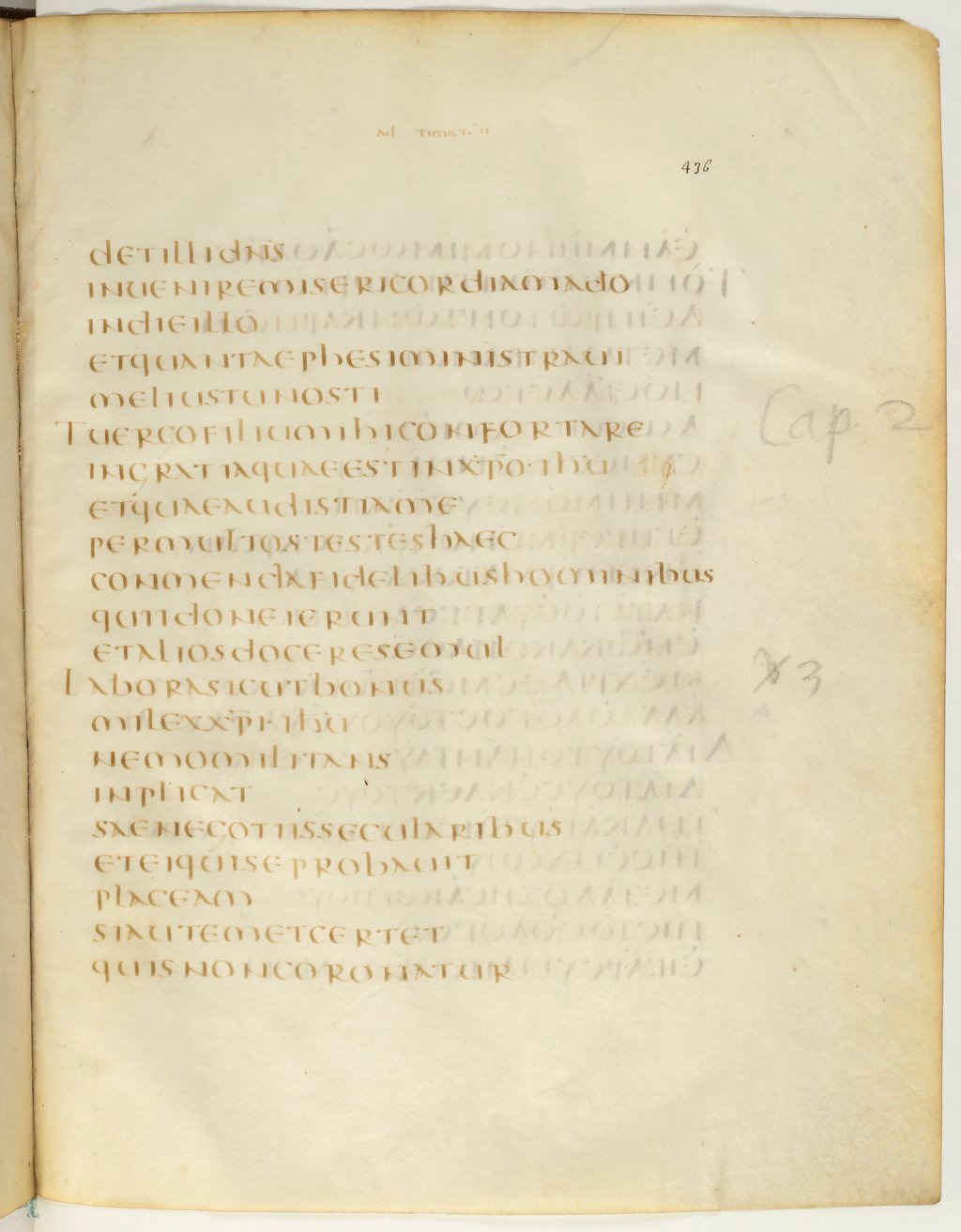Codex Claromontanus (Scan 2) showing 2 Timothy 2:3 from 5th / 6th Century found in Clermont-Ferrand, France, currently housed at Bibliothèque nationale de France, Paris