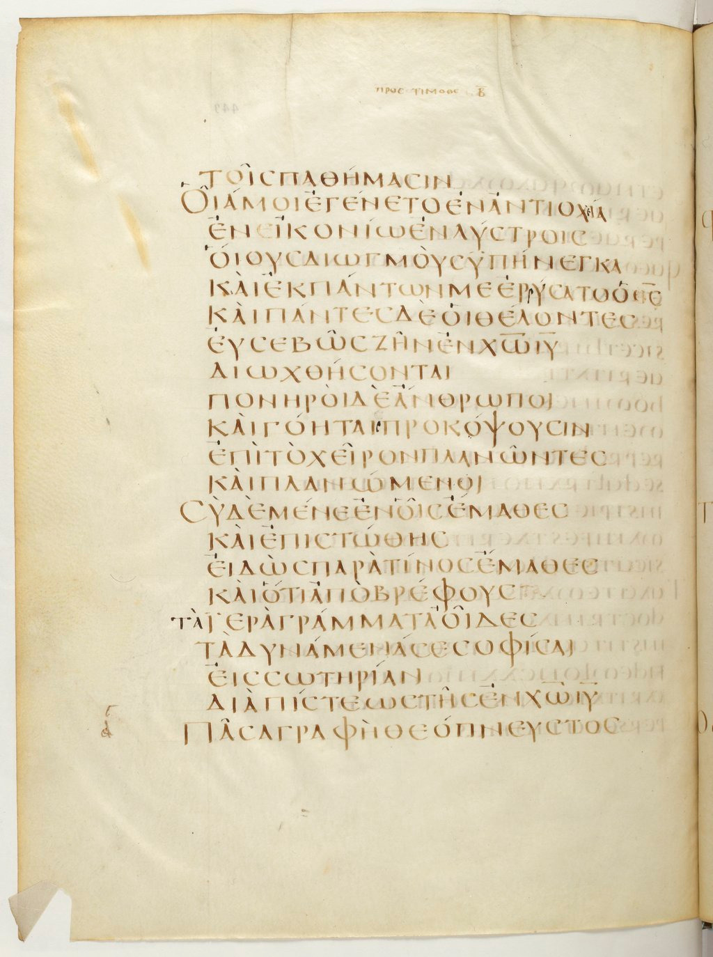 Codex Claromontanus (Scan 1) showing 2 Timothy 3:13 from 5th / 6th Century found in Clermont-Ferrand, France, currently housed at Bibliothèque nationale de France, Paris