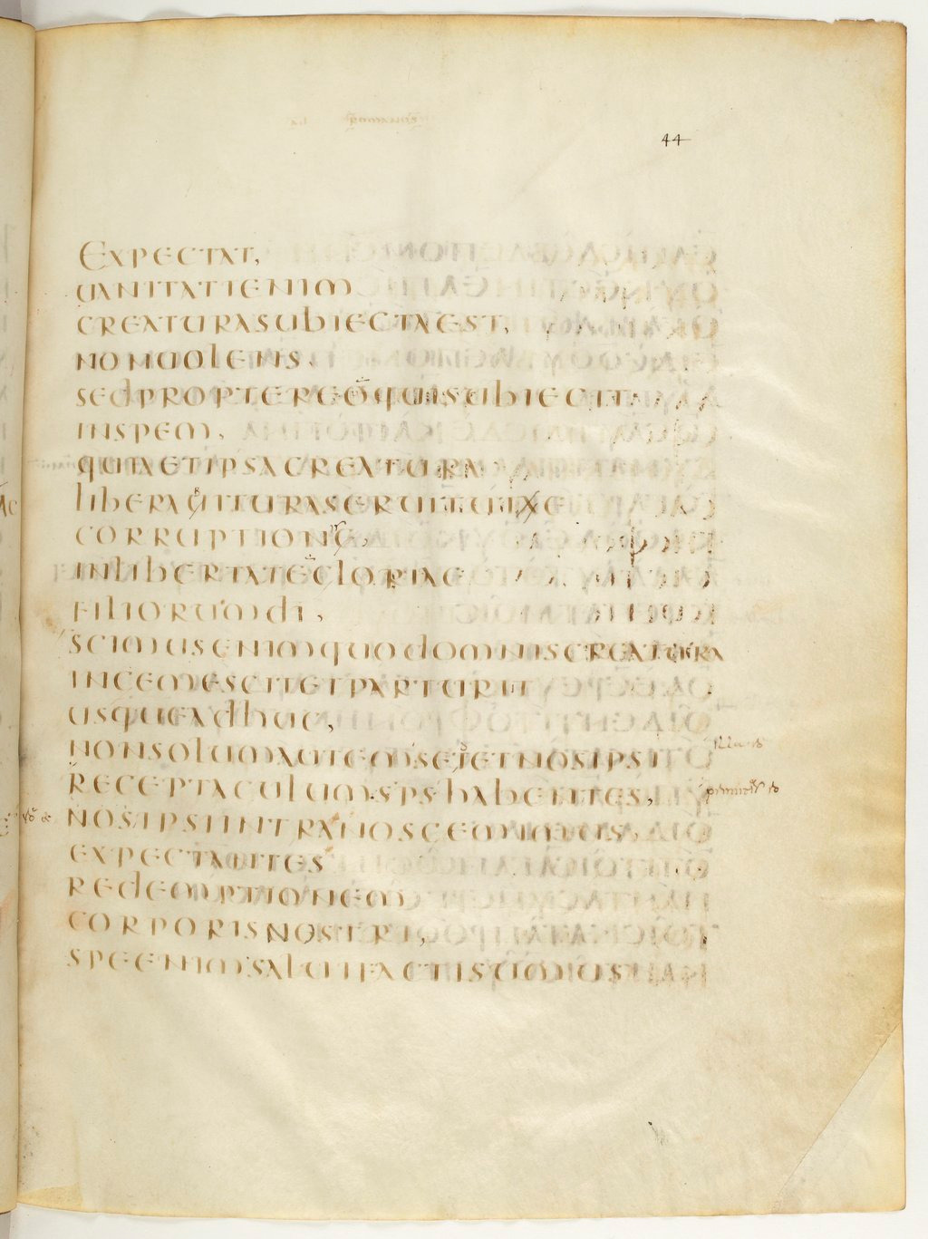Codex Claromontanus (Scan 2) showing Romans 8:22 from 5th / 6th Century found in Clermont-Ferrand, France, currently housed at Bibliothèque nationale de France, Paris