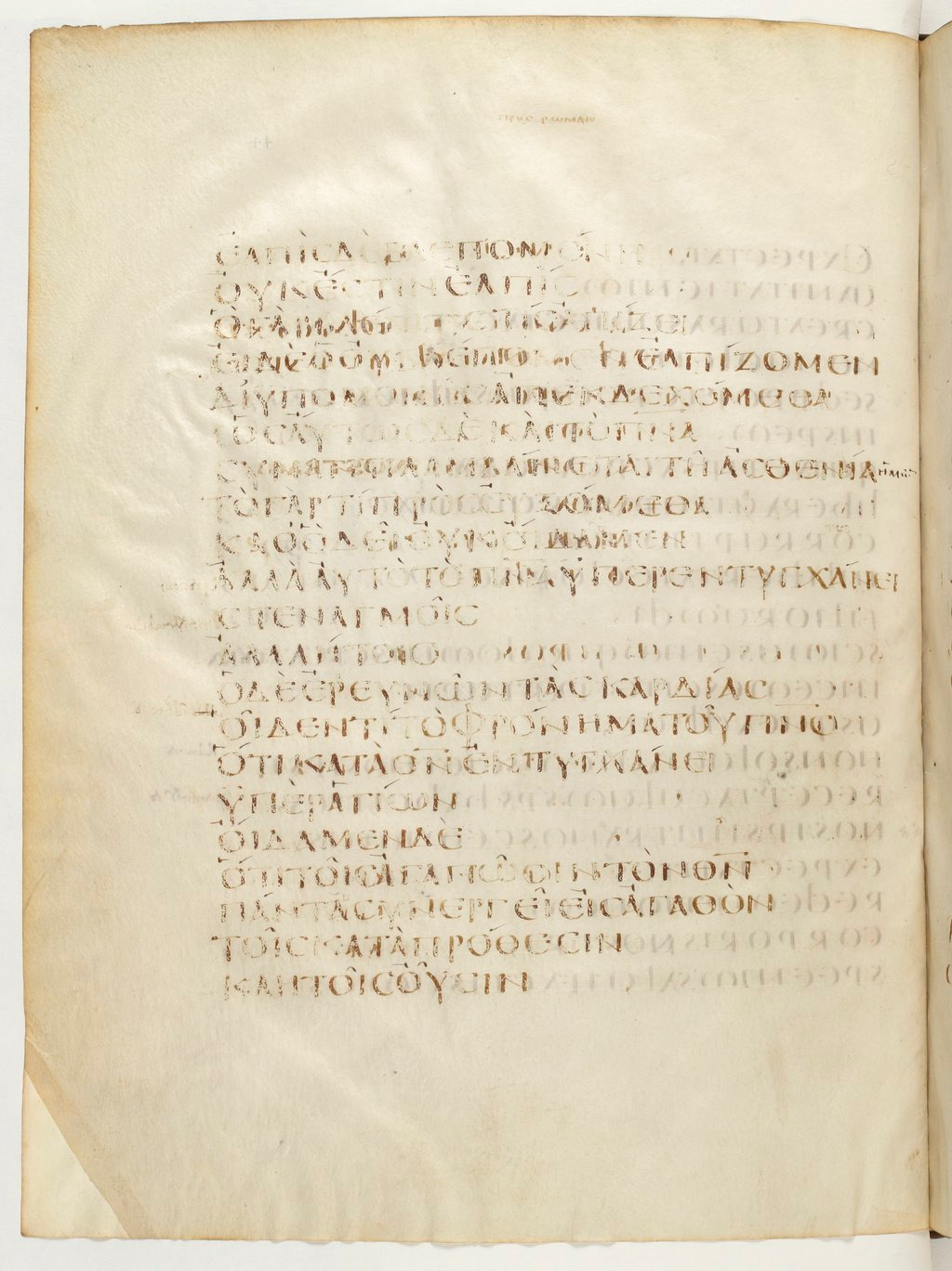 Codex Claromontanus (Scan 1) showing Romans 8:25 from 5th / 6th Century found in Clermont-Ferrand, France, currently housed at Bibliothèque nationale de France, Paris