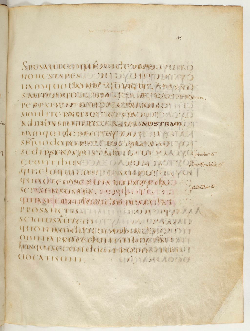 Codex Claromontanus (Scan 2) showing Romans 8:25 from 5th / 6th Century found in Clermont-Ferrand, France, currently housed at Bibliothèque nationale de France, Paris