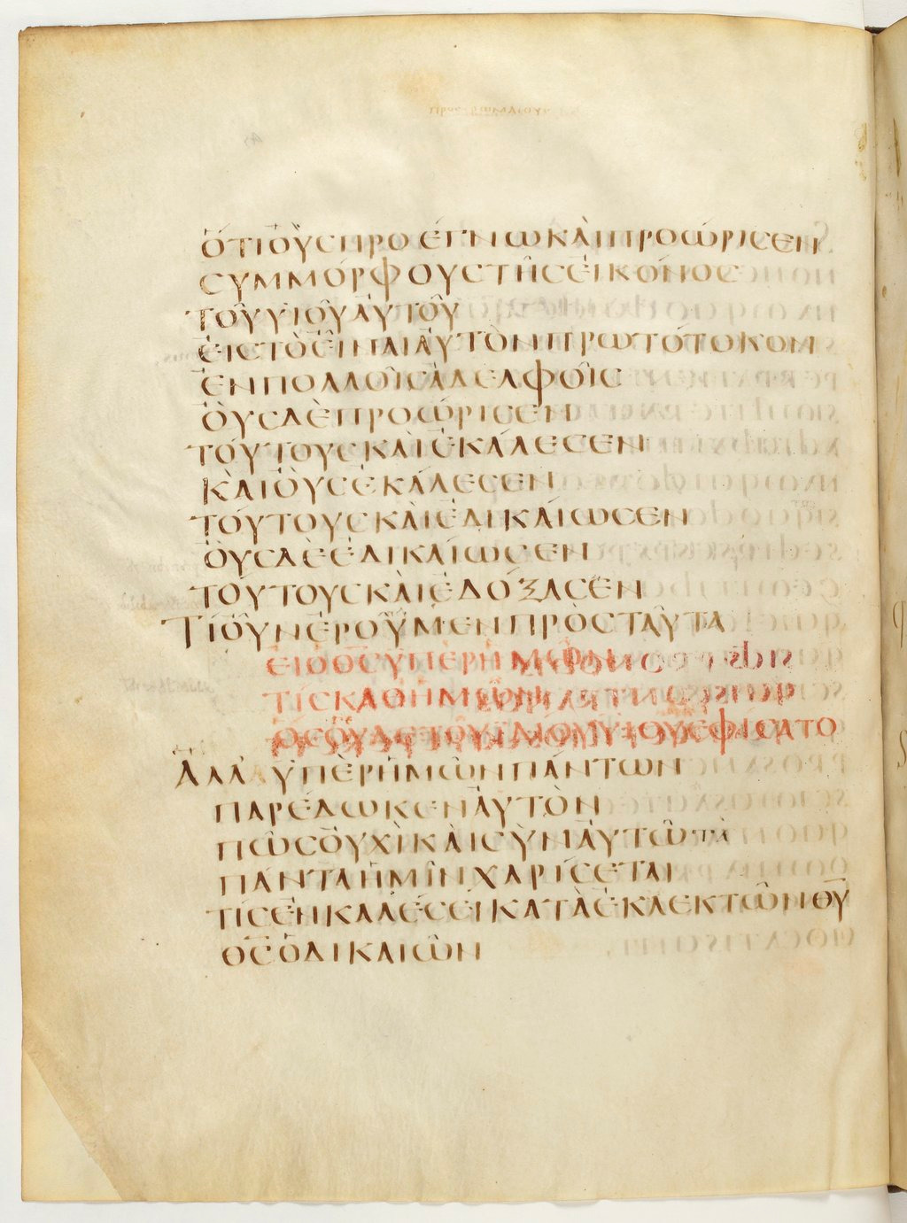 Codex Claromontanus (Scan 1) showing Romans 8:33 from 5th / 6th Century found in Clermont-Ferrand, France, currently housed at Bibliothèque nationale de France, Paris
