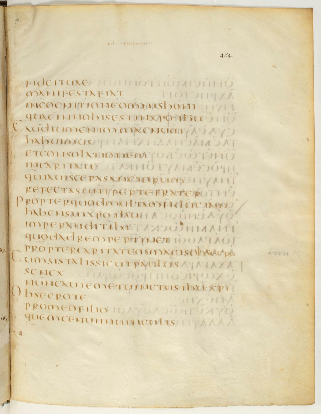 Codex Claromontanus (Scan 2) showing Philemon 1:7 from 5th / 6th Century found in Clermont-Ferrand, France, currently housed at Bibliothèque nationale de France, Paris