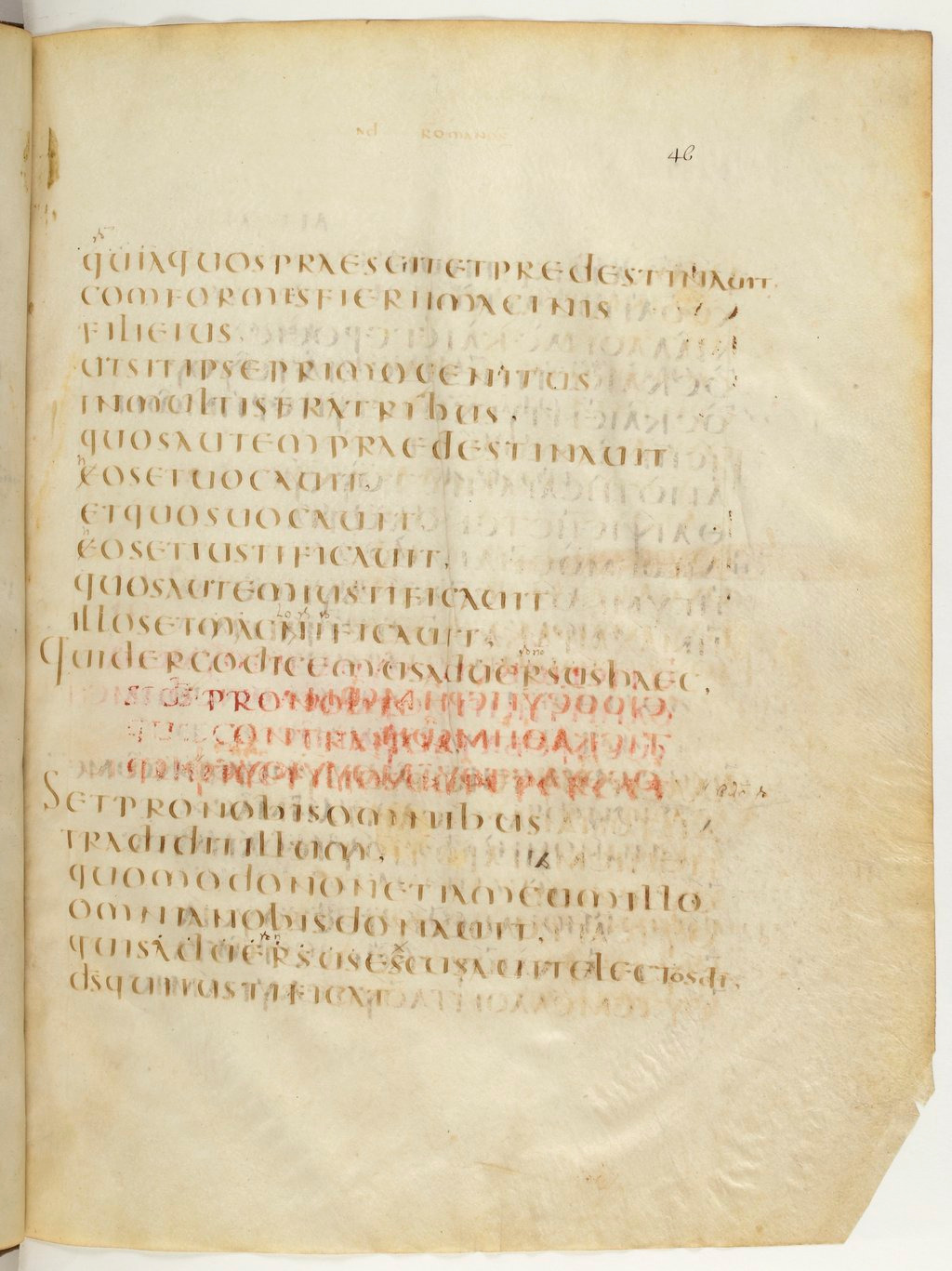 Codex Claromontanus (Scan 2) showing Romans 8:33 from 5th / 6th Century found in Clermont-Ferrand, France, currently housed at Bibliothèque nationale de France, Paris