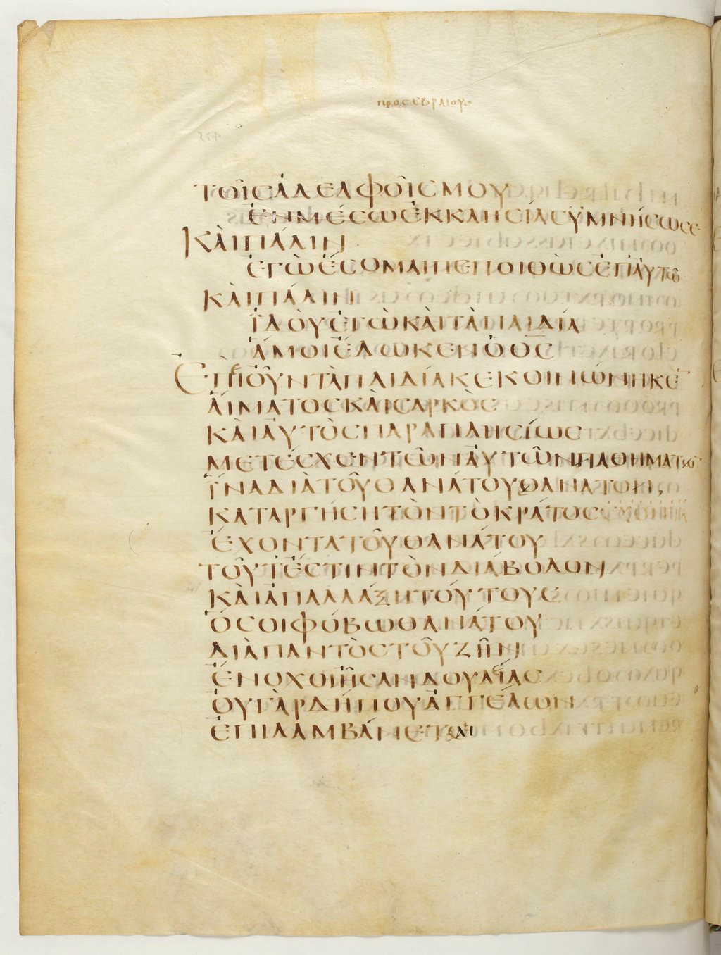Codex Claromontanus (Scan 1) showing Hebrews 2:14 from 5th / 6th Century found in Clermont-Ferrand, France, currently housed at Bibliothèque nationale de France, Paris