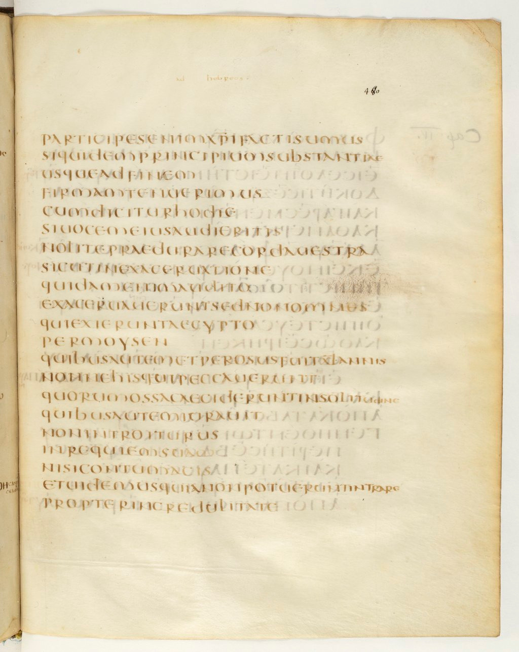 Codex Claromontanus (Scan 2) showing Hebrews 3:16 from 5th / 6th Century found in Clermont-Ferrand, France, currently housed at Bibliothèque nationale de France, Paris