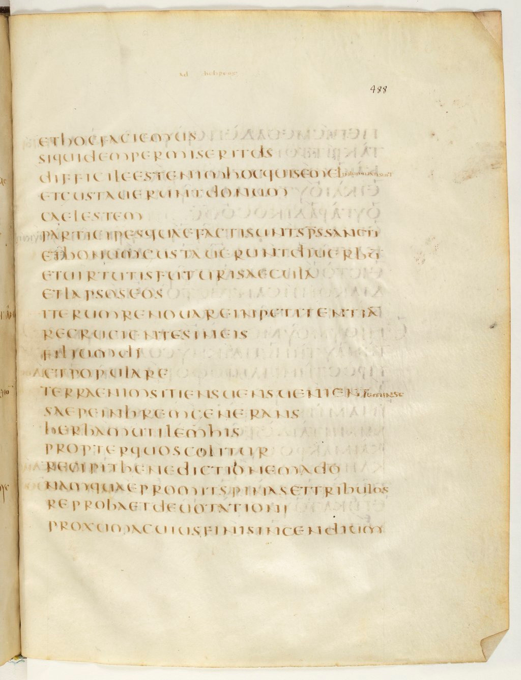 Codex Claromontanus (Scan 2) showing Hebrews 6:7 from 5th / 6th Century found in Clermont-Ferrand, France, currently housed at Bibliothèque nationale de France, Paris