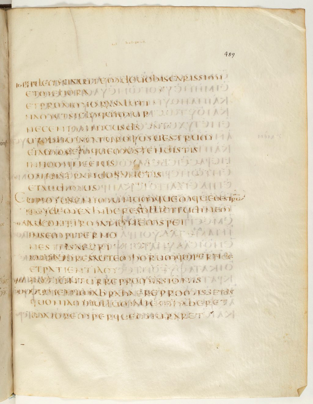 Codex Claromontanus (Scan 2) showing Hebrews 6:12 from 5th / 6th Century found in Clermont-Ferrand, France, currently housed at Bibliothèque nationale de France, Paris