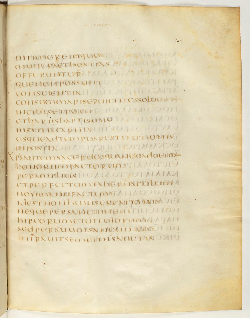 Codex Claromontanus (Scan 2) showing Hebrews 9:10 from 5th / 6th Century found in Clermont-Ferrand, France, currently housed at Bibliothèque nationale de France, Paris