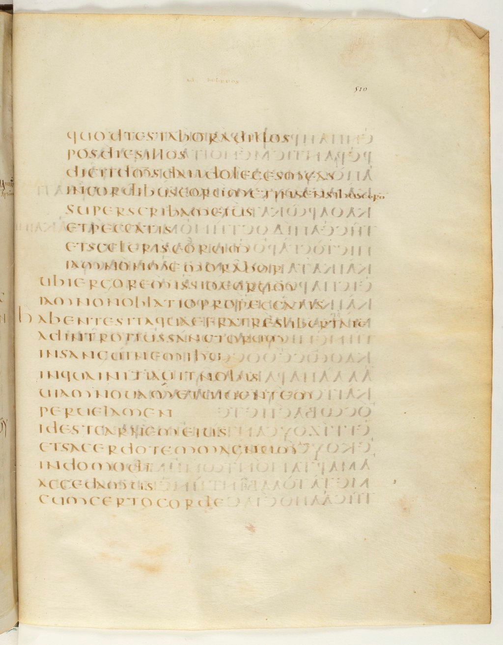 Codex Claromontanus (Scan 2) showing Hebrews 10:21 from 5th / 6th Century found in Clermont-Ferrand, France, currently housed at Bibliothèque nationale de France, Paris
