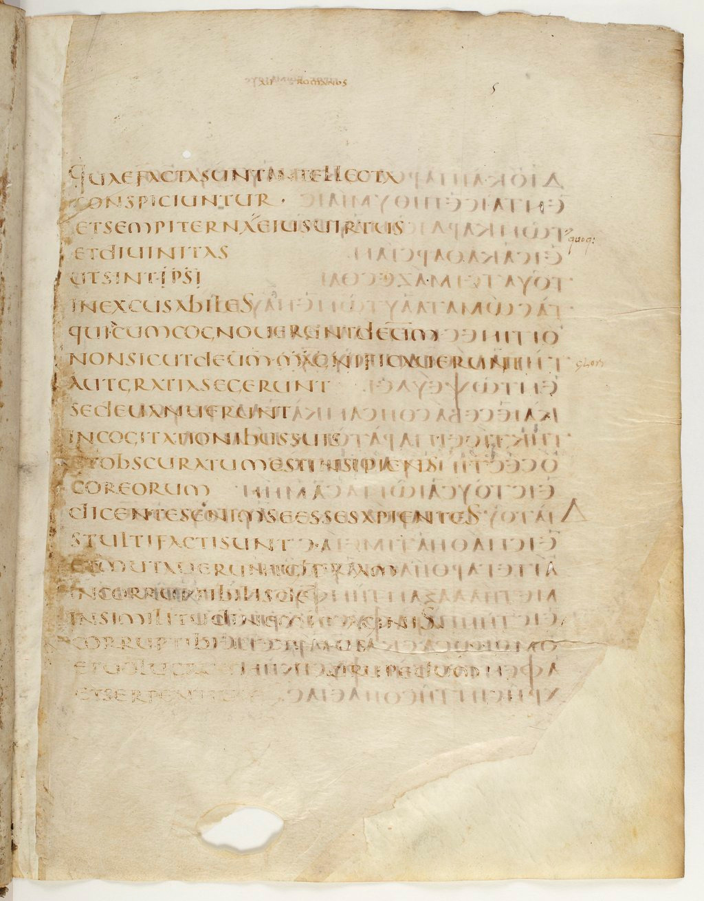 Codex Claromontanus (Scan 2) showing Romans 1:21 from 5th / 6th Century found in Clermont-Ferrand, France, currently housed at Bibliothèque nationale de France, Paris