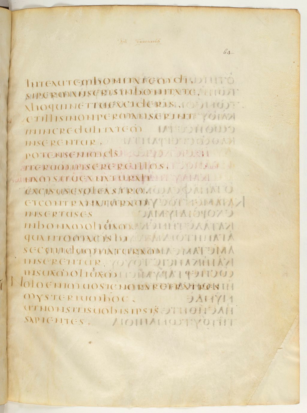 Codex Claromontanus (Scan 2) showing Romans 11:23 from 5th / 6th Century found in Clermont-Ferrand, France, currently housed at Bibliothèque nationale de France, Paris