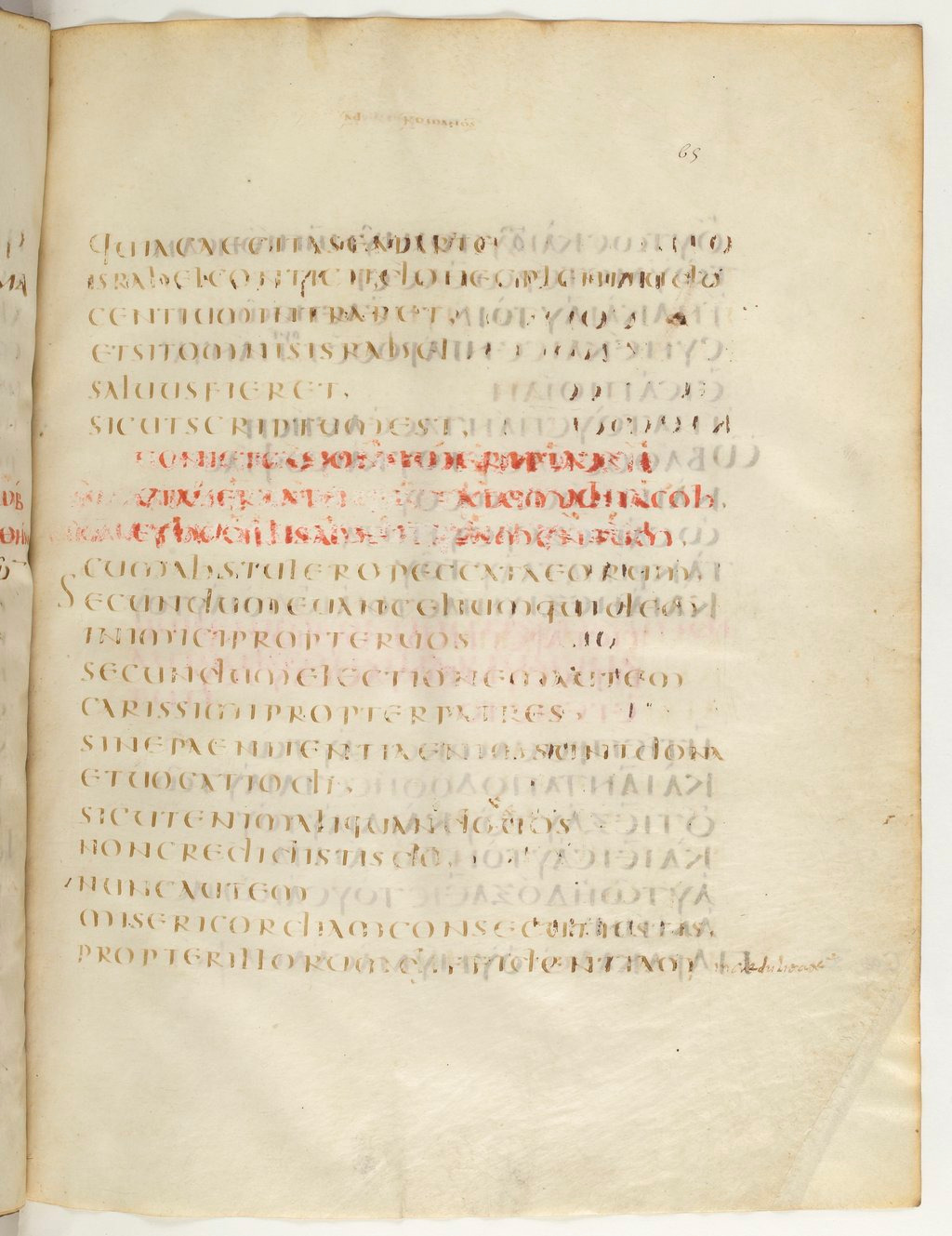 Codex Claromontanus (Scan 2) showing Romans 11:28 from 5th / 6th Century found in Clermont-Ferrand, France, currently housed at Bibliothèque nationale de France, Paris