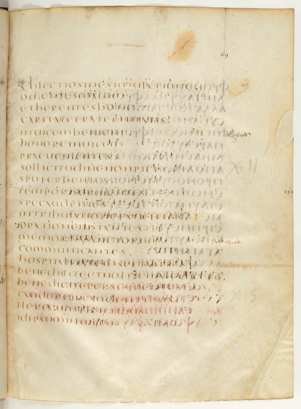 Codex Claromontanus (Scan 2) showing Romans 12:9 from 5th / 6th Century found in Clermont-Ferrand, France, currently housed at Bibliothèque nationale de France, Paris