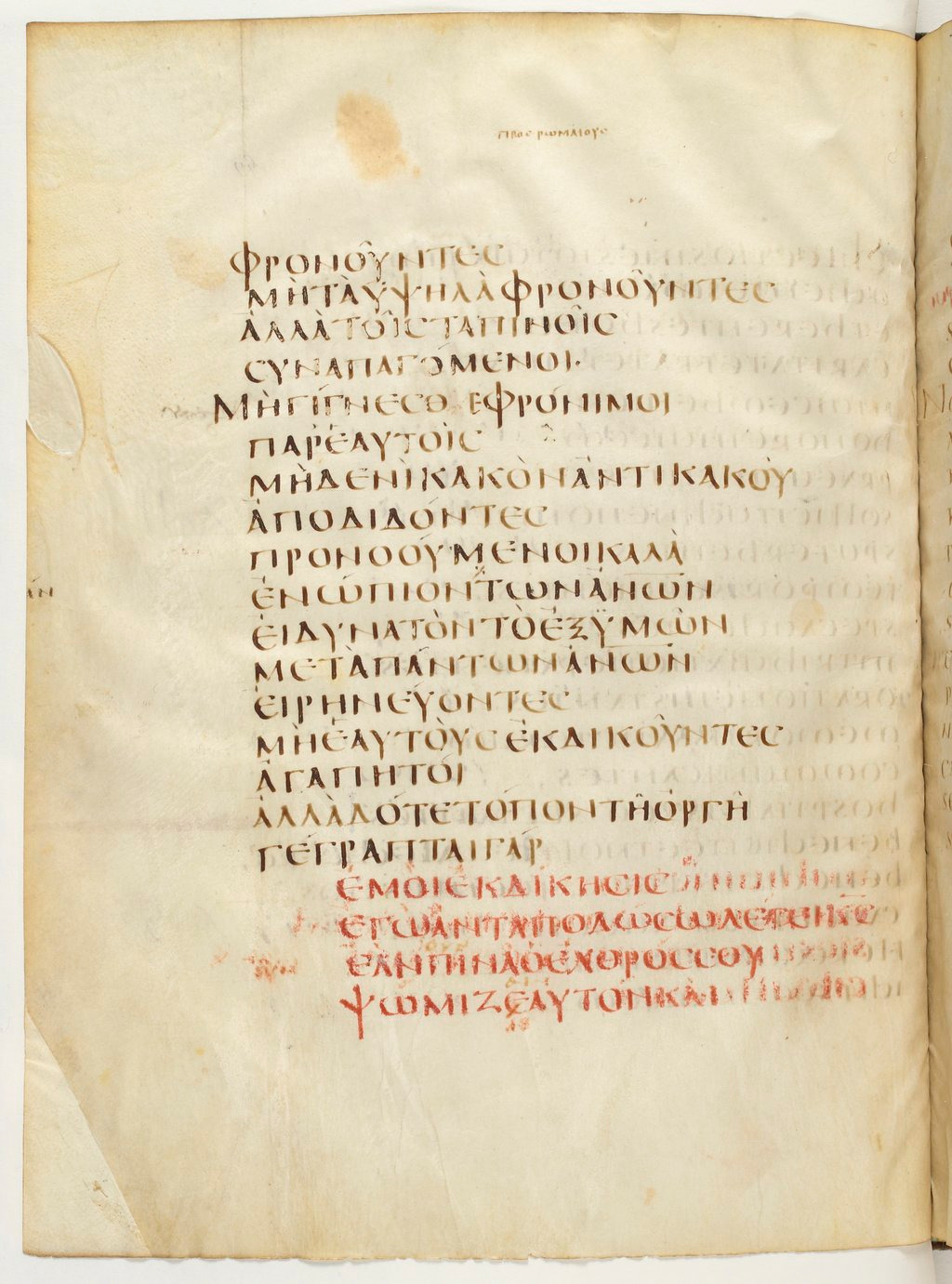 Codex Claromontanus (Scan 3) showing Romans 12:16 from 5th / 6th Century found in Clermont-Ferrand, France, currently housed at Bibliothèque nationale de France, Paris
