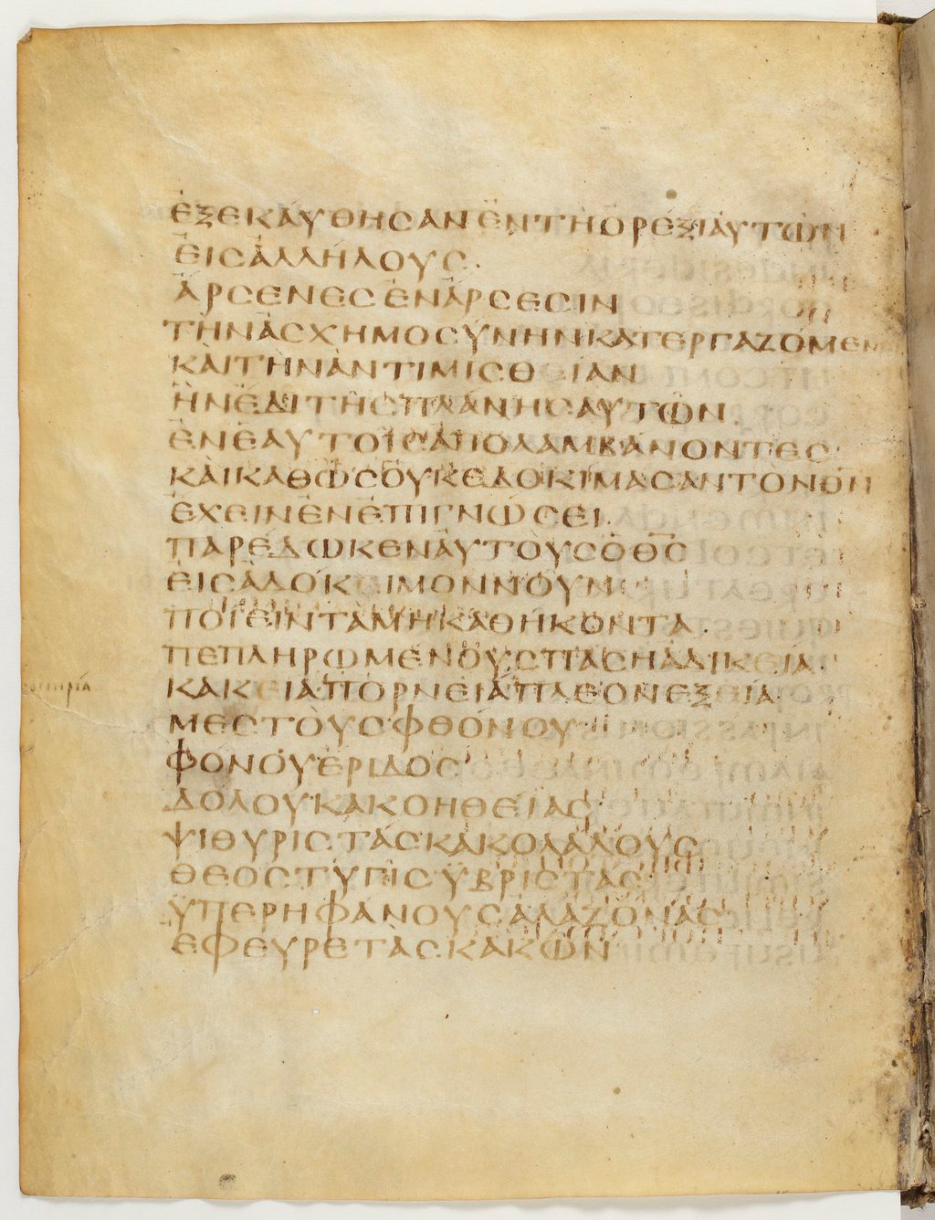 Codex Claromontanus (Scan 1) showing Romans 1:28 from 5th / 6th Century found in Clermont-Ferrand, France, currently housed at Bibliothèque nationale de France, Paris