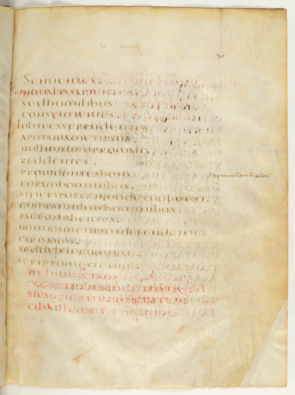 Codex Claromontanus (Scan 4) showing Romans 12:16 from 5th / 6th Century found in Clermont-Ferrand, France, currently housed at Bibliothèque nationale de France, Paris