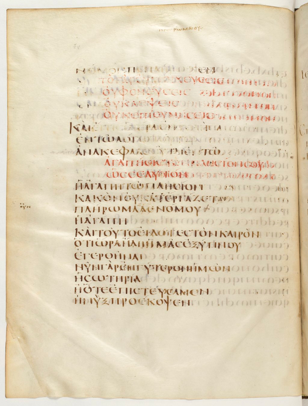 Codex Claromontanus (Scan 3) showing Romans 13:8 from 5th / 6th Century found in Clermont-Ferrand, France, currently housed at Bibliothèque nationale de France, Paris