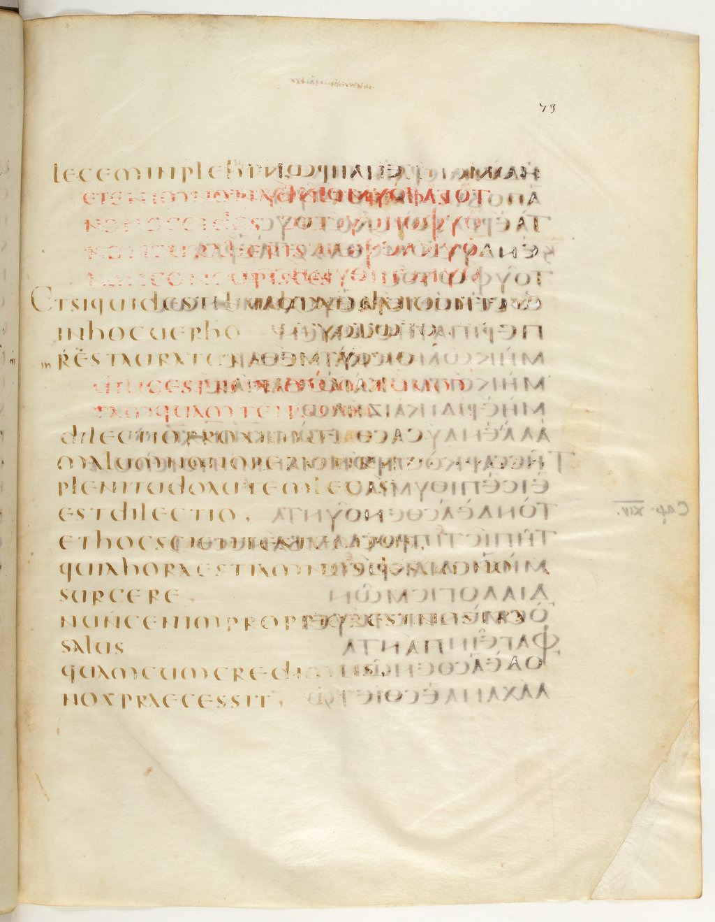 Codex Claromontanus (Scan 4) showing Romans 13:8 from 5th / 6th Century found in Clermont-Ferrand, France, currently housed at Bibliothèque nationale de France, Paris