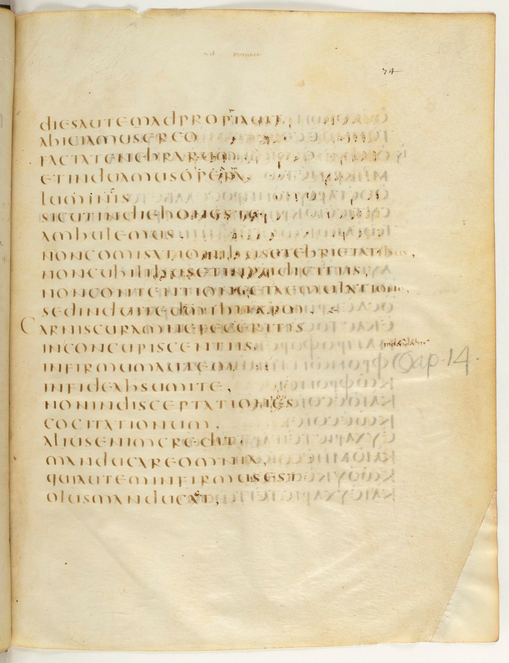 Codex Claromontanus (Scan 2) showing Romans 13:14 from 5th / 6th Century found in Clermont-Ferrand, France, currently housed at Bibliothèque nationale de France, Paris