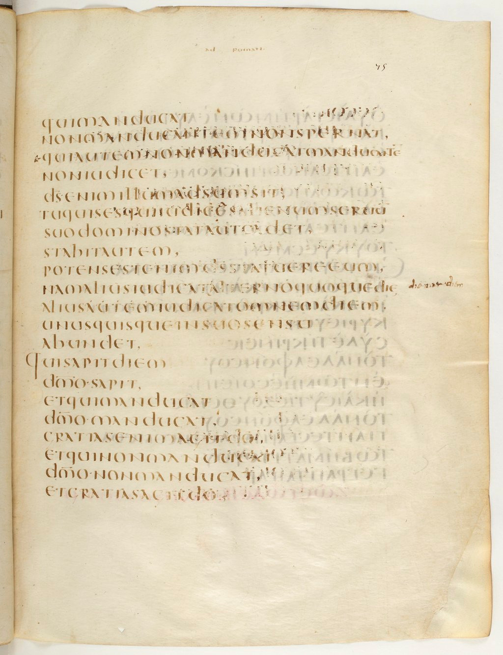 Codex Claromontanus (Scan 4) showing Romans 14:2 from 5th / 6th Century found in Clermont-Ferrand, France, currently housed at Bibliothèque nationale de France, Paris