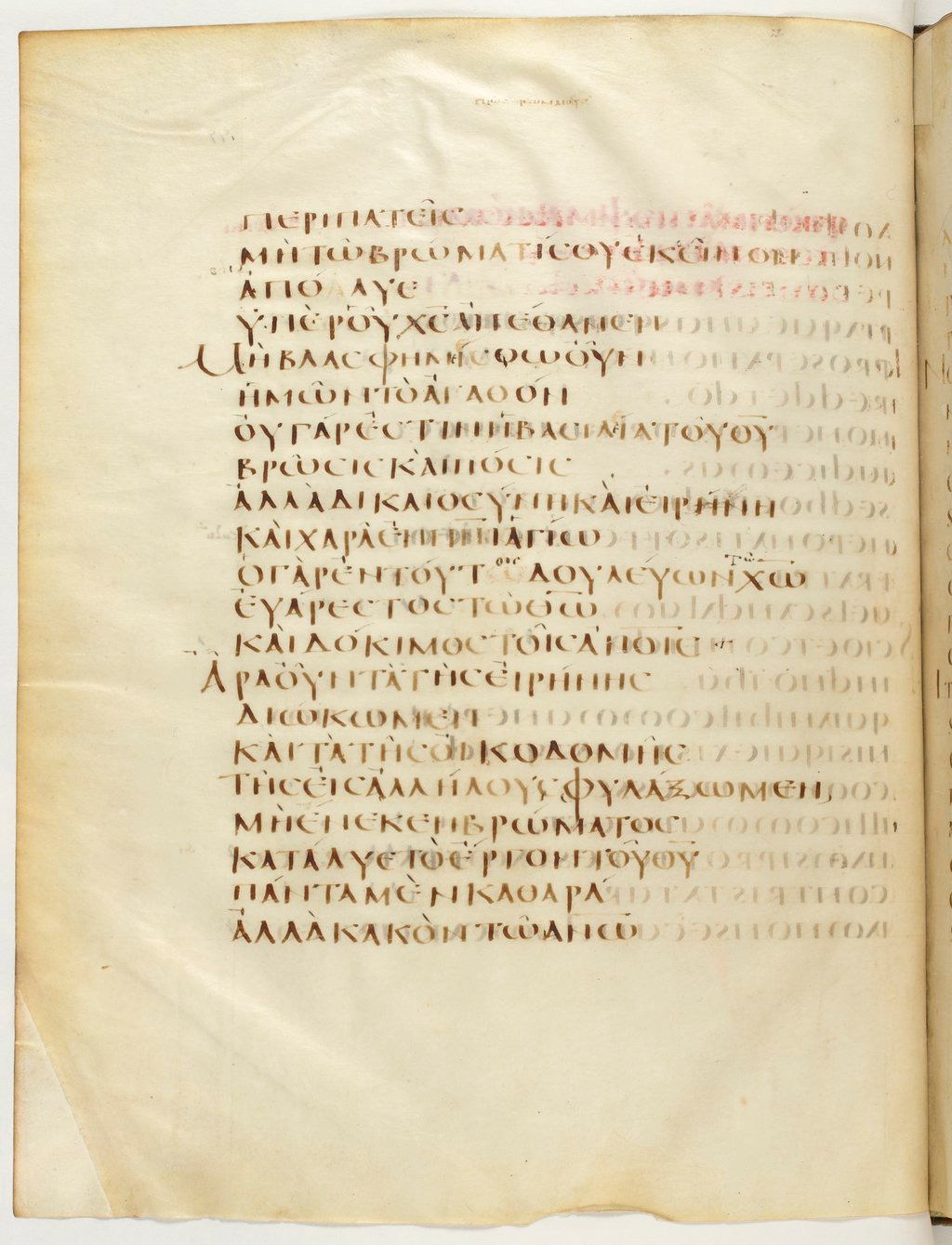 Codex Claromontanus (Scan 1) showing Romans 14:18 from 5th / 6th Century found in Clermont-Ferrand, France, currently housed at Bibliothèque nationale de France, Paris