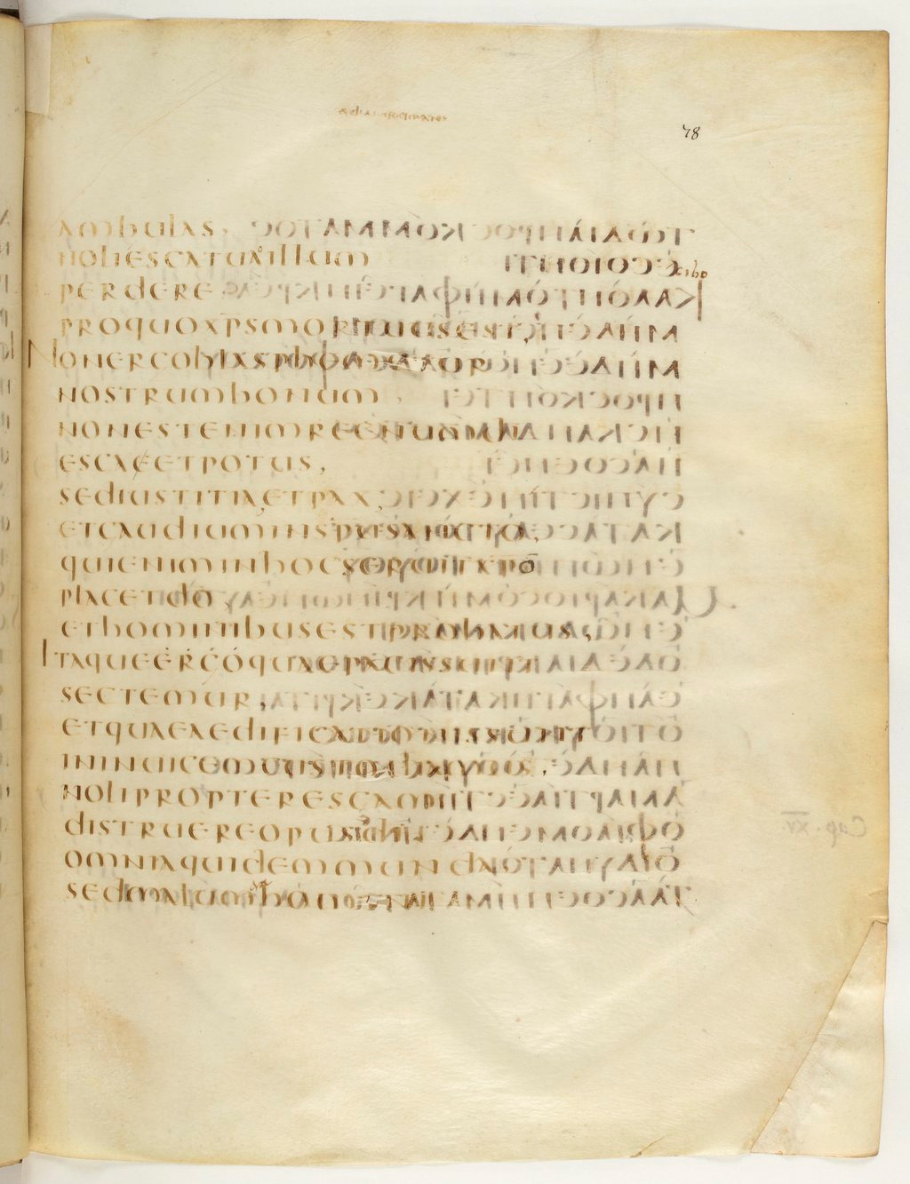 Codex Claromontanus (Scan 2) showing Romans 14:18 from 5th / 6th Century found in Clermont-Ferrand, France, currently housed at Bibliothèque nationale de France, Paris