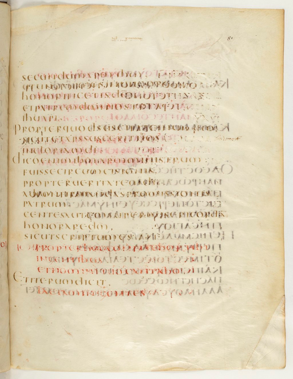 Codex Claromontanus (Scan 4) showing Romans 15:5 from 5th / 6th Century found in Clermont-Ferrand, France, currently housed at Bibliothèque nationale de France, Paris