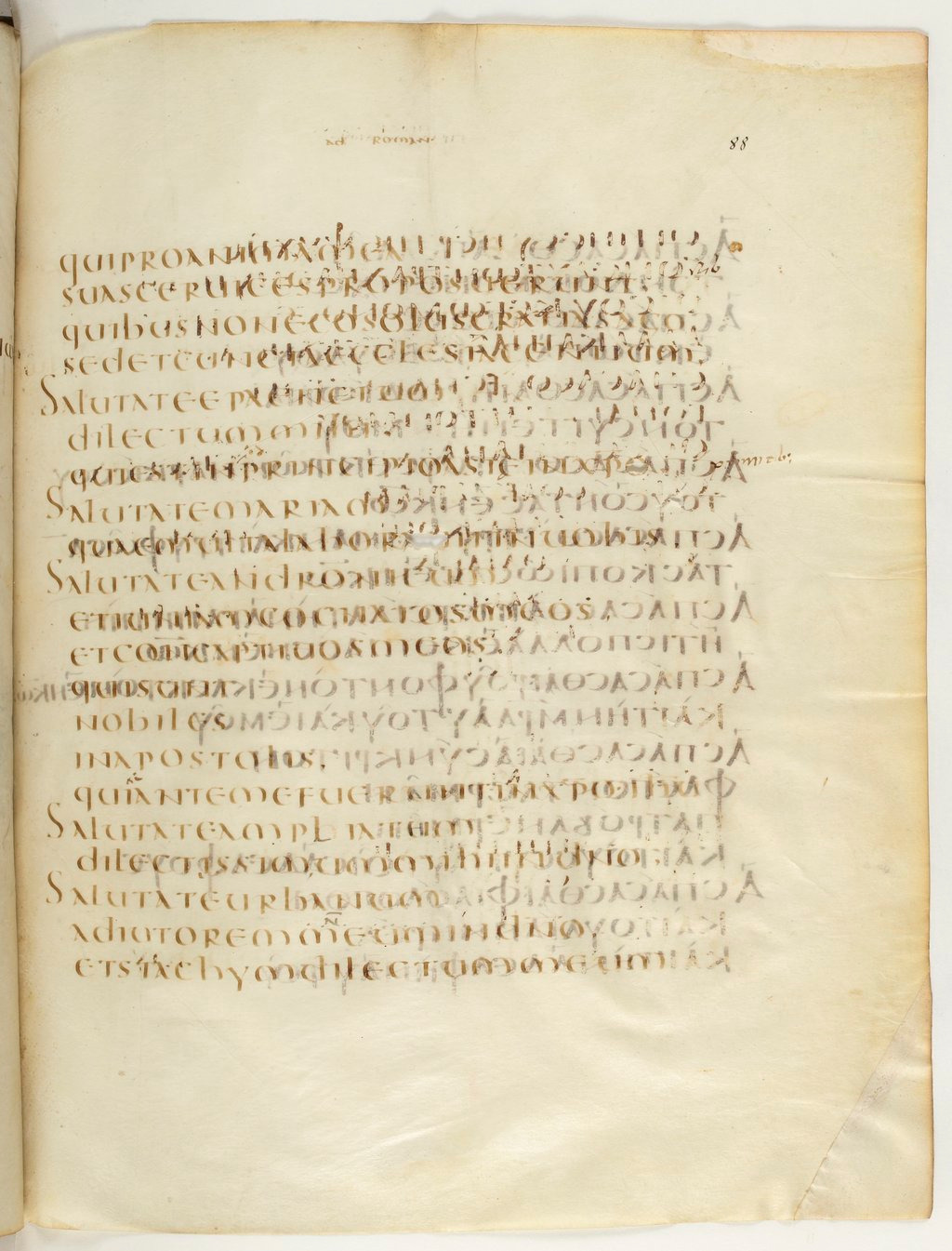 Codex Claromontanus (Scan 2) showing Romans 16:7 from 5th / 6th Century found in Clermont-Ferrand, France, currently housed at Bibliothèque nationale de France, Paris